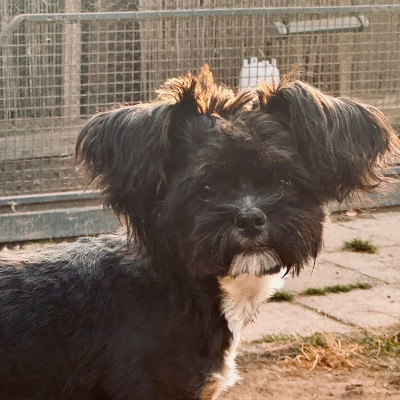 Peggy